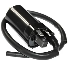 Ignition Coil for Arctic Cat Thundercat EFI 4X4 Auto 2008 2009 2010 (For: Arctic Cat Thundercat)