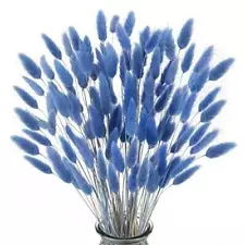 Xhxstore 120pcs Dried Bunny Tails Flowers Blue Rabbit Tail Grass Lagurus Ovatus