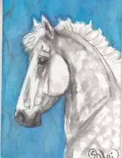 ACEO original Watercolor Art Card HORSE dapple gray Greco Roman Colt FLASH SALE!