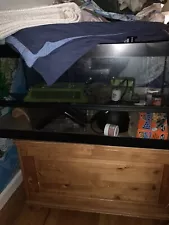 reptile terrarium tank