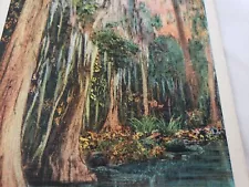 C 1940 Southern Cypress Trees Lake Edge Gardens Winter Haven Florida Postcard