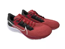 Nike Air Zoom Pegasus 38 Tampa Bay Buccaneers Men’s 12.5 DJ0813-600 Bucs Shoes