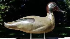 VERY RARE WOOD BILLED TEAL ~FULLY-RIGGED 1927 SCOTT DECOY FACTORY Cork-Fill DUCK