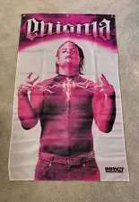 Jeff Hardy Enigma Flag Banner Impact Wrestling WWE 58"×35" Boyz