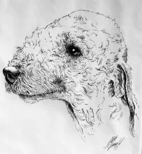 Laughlin 70s Pen Ink Pet Drawing Art MCM Retro 12x9 Dog Bedlington Terrier Puppy