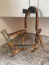 yearling show halter