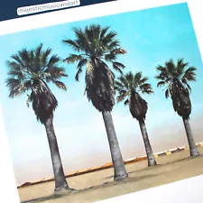 ROBERT BECHTLE PALM TREES ORIGINAL 2015 EXHIBITION POSTER LARGE LITHOGRAPH MINT