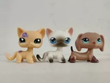 3pcs/lot Littlest Pet Shop short hair Cat Dog #1962#5#518 Animal Figures