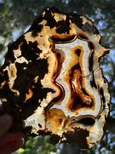 XXL 8 Inch Brazilian Red Agate Slice 100% Natural. Perfect For Craft Or Art