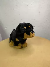 Webkinz Rottweiler