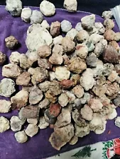 Lot Of 15 Small Unopened Amethyst Geodes From Quartzsite