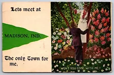 "Let's Meet" at Madison Indiana~The Only Town For Me~Woman in Tree~1913 Pennant