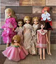 LiCCA chan Doll Huge Lot Set Clothes Costume Bulk sale Figure TAKARA TOMY