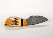 Stag Horn + Olive Wood Handle 5.25" Damascus Mini Boot Knife; Solid, Sharp SALE