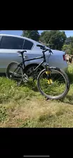 1998 wilderness trail bikes Phoenix vintage mountain bike.