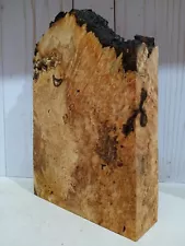 Mind BLOWING CURLY RED Maple Burl wood Carving Wood EPOXY WOOD turning wood