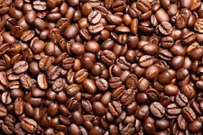 Coffee 50 Seeds Arabica Tree Coffea Nana Plant Bean Tropical Shrub Dwarf House