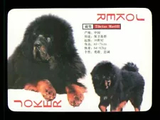 1 x Joker playing card dog Tibetan Mastiff ≠ BX031