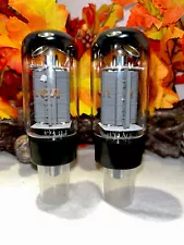 RCA 8417 Matched Pair Vacuum Tubes Duel Solid Top Getters Borderline NOS Test