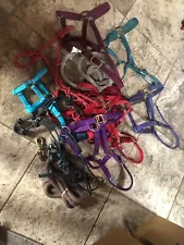 HALTER Lead Ropes Lunge Line LOT ALL FOR ONE MONEY