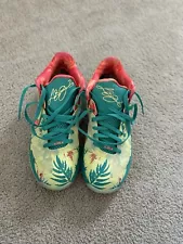 Size 11.5 - Nike LeBron 9 Low LeBronold Palmer