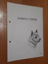 Norwich Terrier Breed Supplement RAS Kennel Control Sporting Terriers Group 2