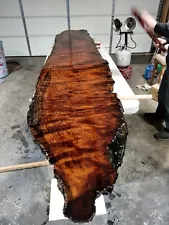 old growth redwood burl tabletop 9ft 7in