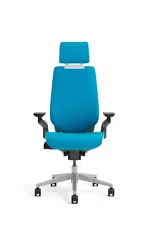 New Steelcase Gesture Chair Adjustable Headrest Wrap Back Light Frame Blue Jay