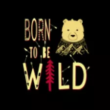 SALE Born to be Wild Bear Strong Big Potential Go For it! MAGNET