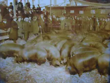 1940s PRIZE HOG AUCTION SALE 8x10 Photo PORTLAND/EASTERN OREGON COLLEGE vintage