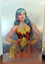 Wonder Woman: Soaked Sensation #17/100 ~ Joe Rubinstein 12" X 18"