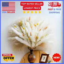 Scuddles 90-Pc Pampas Grass Decor - 18” Tall Dried Pampas for Home & Wedding