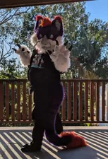 Cat Dragon Hybrid Fursuit