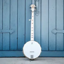 deering deluxe banjo for sale