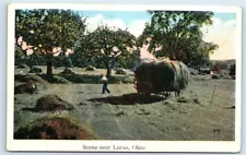 Postcard Scene near Lucas, Ohio loading hay on wagon J99