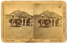 CHASE Mexican Wood Wagoner in Trinidad, COLORADO Simpsons Rest, Stereoview 1870s