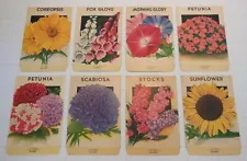 Lot of 8 Vintage FLOWER SEED PACKETS (S8)-Schmidt Litho Co-Unused-3 1/4" x 5"