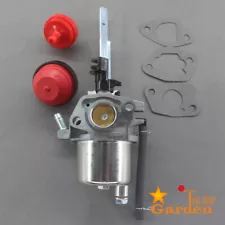 Carburetor For Powersmart DB7651-24 Snow Blower with Primer Bulb Fuel Filter