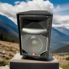 Peavey SP2 Black Widow Speakers 1000w Subwoofer Horn