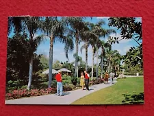 1972 Busch Gardens Walkway