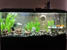 Star Wars Aquarium Decor (Endor Themed)