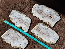 4 Beautiful Agate Slices