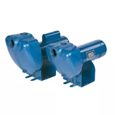 Pentair StaRite Sta-Rite Pro-Storm DS3HF 1-1/2 HP Centrifugal Pump