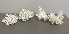 Dead Coral Colony Maritime Beach Decor Branching White Coral Art Lot Of 4