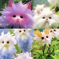 50 Rare cat Face Orchid Seeds Cymbidium Seeds