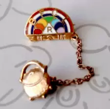 International Order of the Rainbow for Girls BFCLR Pot of Gold Vintage Pin