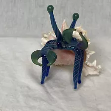 Glass hermit crab in natural shell