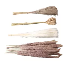 Natural Dried Pampas Grass 15PCS White Pampas 15PCS Brown Pampas 50PCS DS