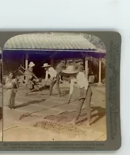 Farmers with Bamboo Rakes Yokohama Japan Underwood Stereoview