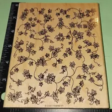 Ivy Vines, Huge Stampin Up, B7